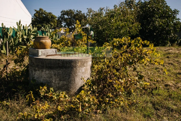 Moradia T4 para Venda em Coruche, Fajarda e Erra Foto 33