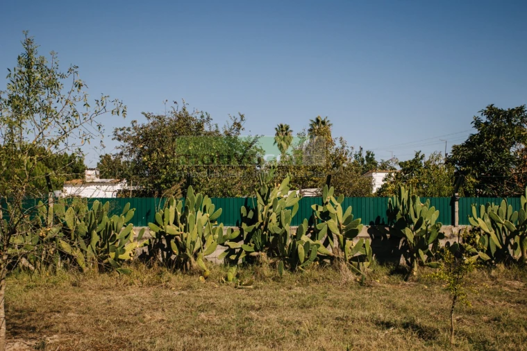 Moradia T4 para Venda em Coruche, Fajarda e Erra Foto 38