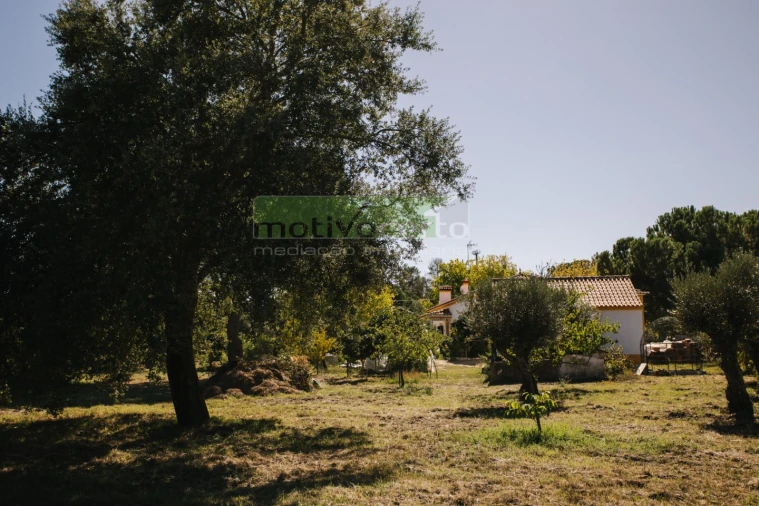 Moradia T4 para Venda em Coruche, Fajarda e Erra Foto 44