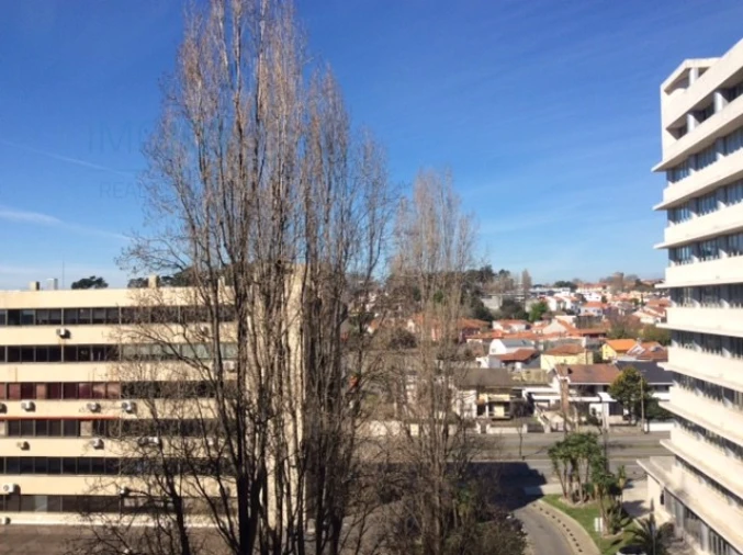Apartamento T2 para Arrendamento em Aldoar, Foz do Douro e Nevogilde Foto 12
