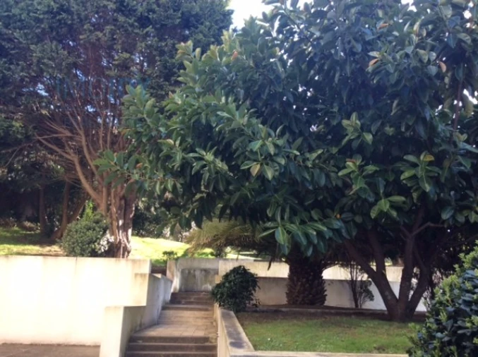 Apartamento T2 para Arrendamento em Aldoar, Foz do Douro e Nevogilde Foto 21