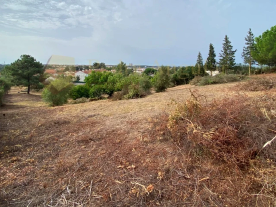 Terreno para Venda em Setubal (São Sebastião) Foto 2