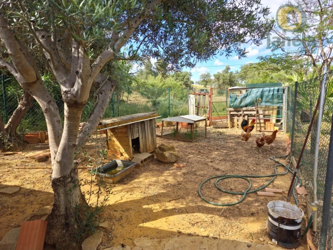 Moradia T3 para Venda em Moncarapacho e Fuseta Foto 34