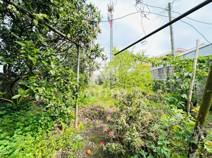 Moradia T2 para Venda em Santa Marta de Portuzelo Foto 10