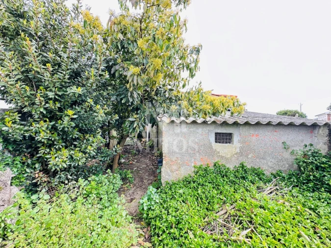 Moradia T2 para Venda em Santa Marta de Portuzelo Foto 15