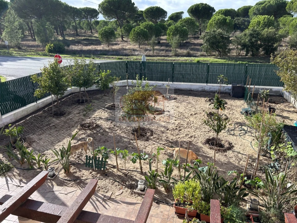 Moradia T6 para Venda em Grândola e Santa Margarida da Serra Foto 28