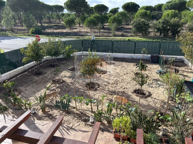 Moradia T6 para Venda em Grândola e Santa Margarida da Serra Foto 28