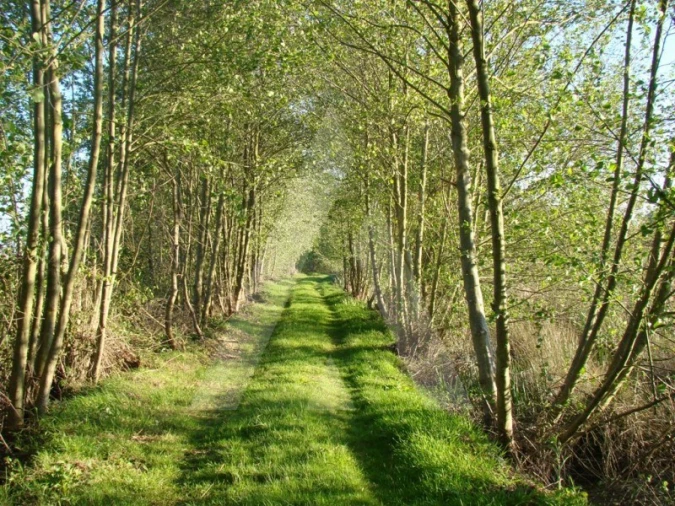Terreno para Venda em Canelas e Fermelã Foto 13