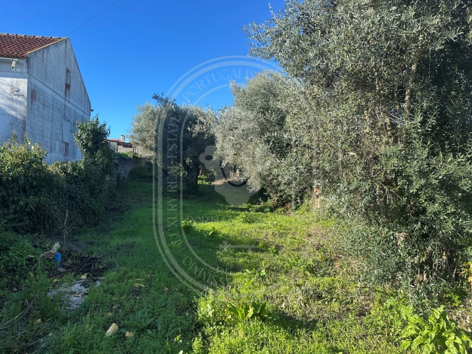 Moradia T4 para Venda em Olaia e Paço Foto 26