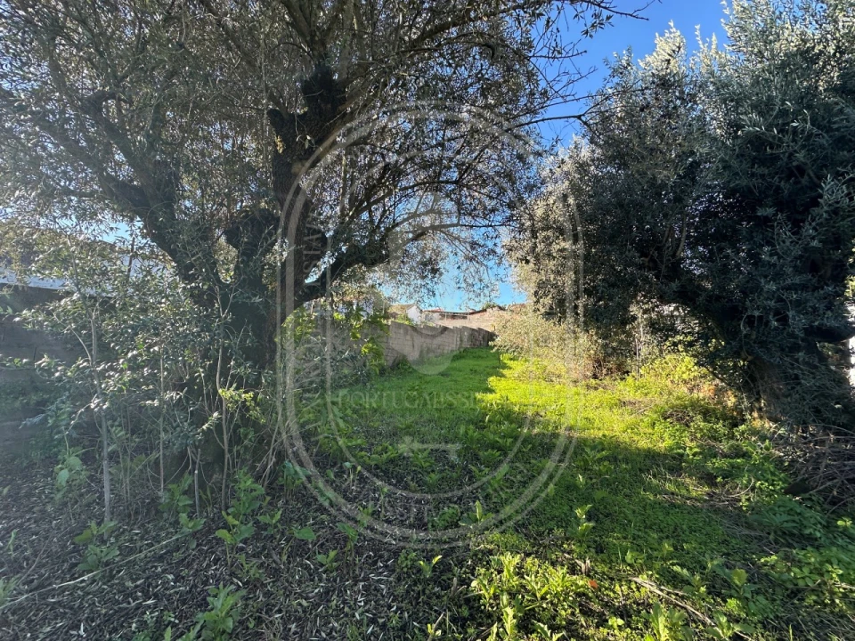 Moradia T4 para Venda em Olaia e Paço Foto 29