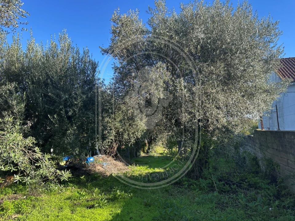 Moradia T4 para Venda em Olaia e Paço Foto 38