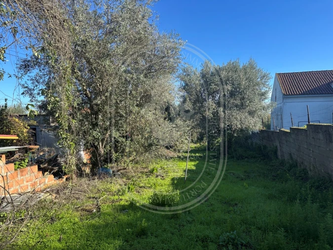 Moradia T4 para Venda em Olaia e Paço Foto 37