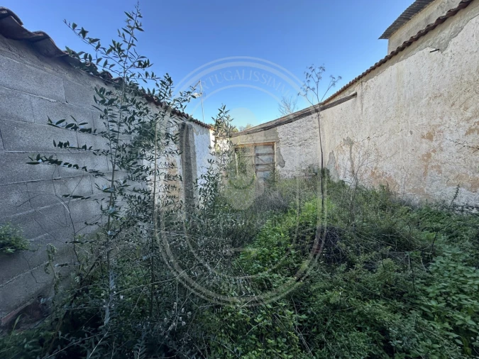 Moradia T4 para Venda em Olaia e Paço Foto 58