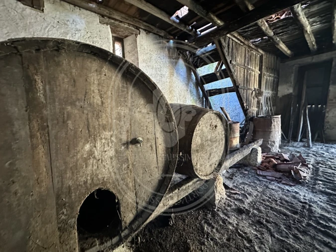 Moradia T4 para Venda em Olaia e Paço Foto 69