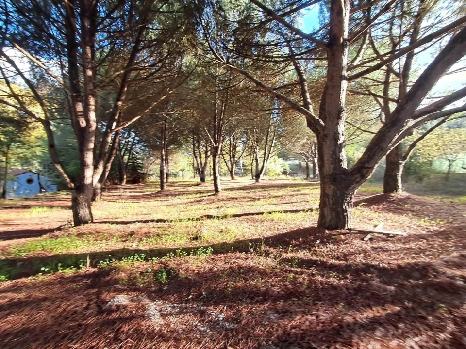 Moradia T2 para Venda em São Pedro de Tomar Foto 26