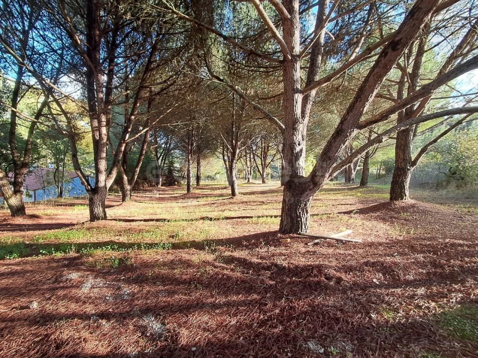 Moradia T2 para Venda em São Pedro de Tomar Foto 29