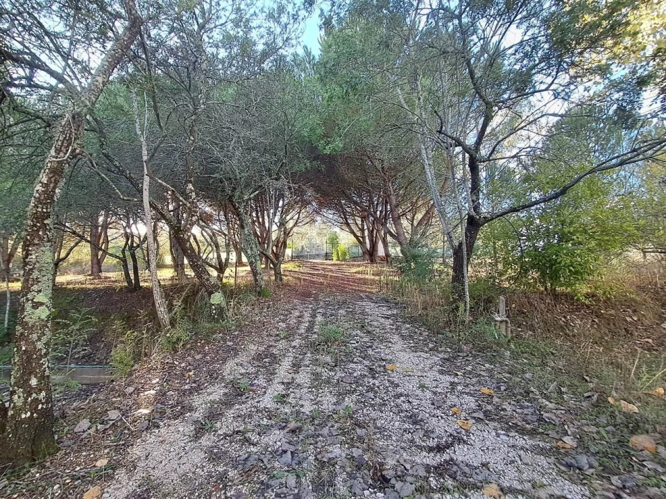 Moradia T2 para Venda em São Pedro de Tomar Foto 30