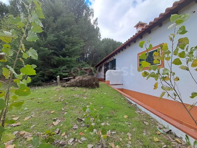 Moradia T2 para Venda em São Pedro de Tomar Foto 6