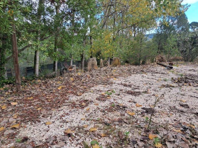 Moradia T2 para Venda em São Pedro de Tomar Foto 24