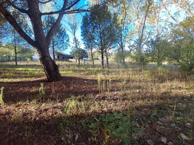 Moradia T2 para Venda em São Pedro de Tomar Foto 28