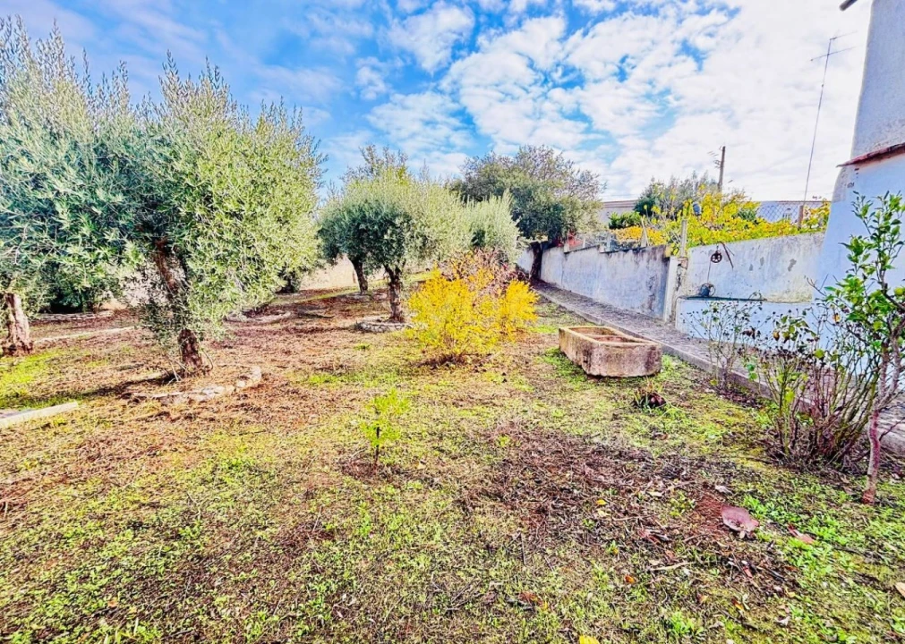 Moradia T3 para Venda em Garvão e Santa Luzia Foto 22