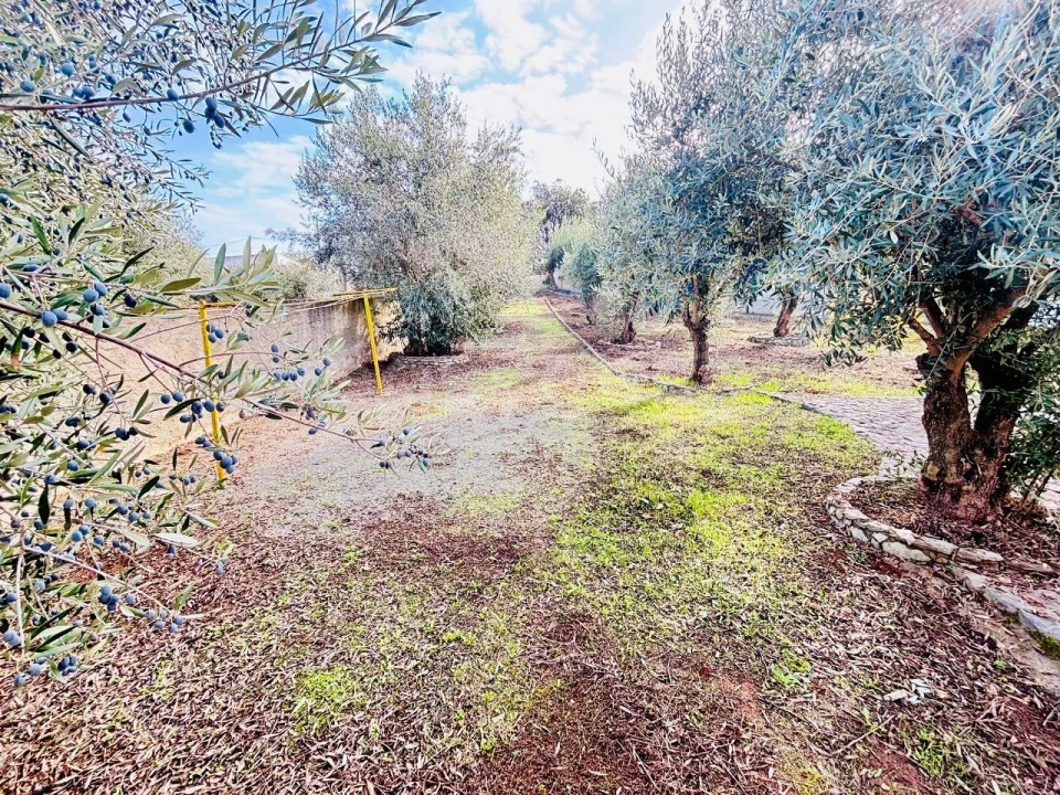 Moradia T3 para Venda em Garvão e Santa Luzia Foto 26