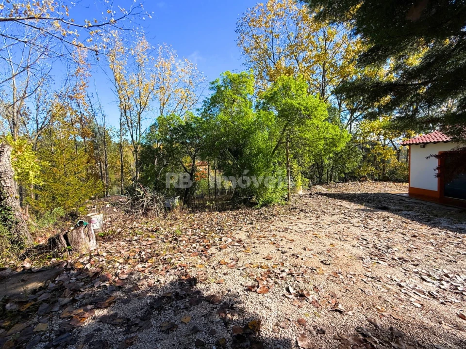 Quinta T2 para Venda em São Pedro de Tomar Foto 46