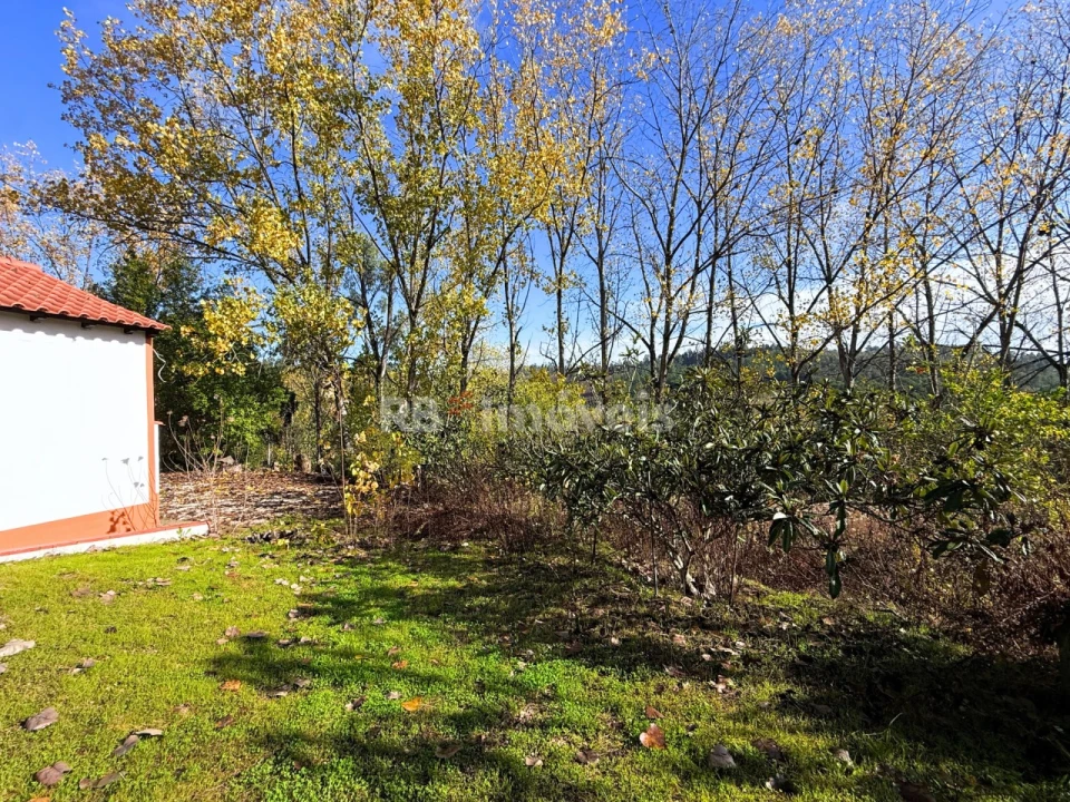 Quinta T2 para Venda em São Pedro de Tomar Foto 40