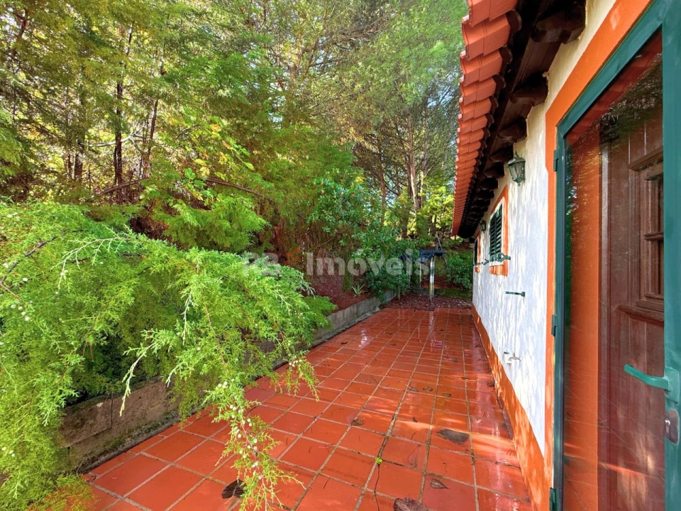 Quinta T2 para Venda em São Pedro de Tomar Foto 5