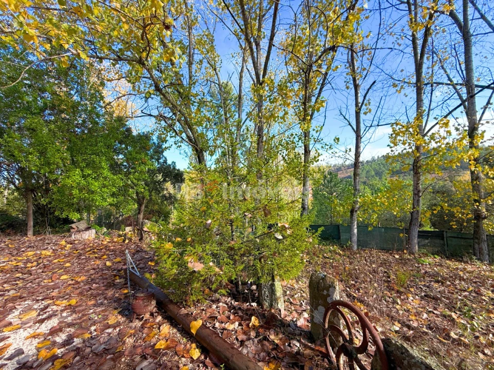 Quinta T2 para Venda em São Pedro de Tomar Foto 42