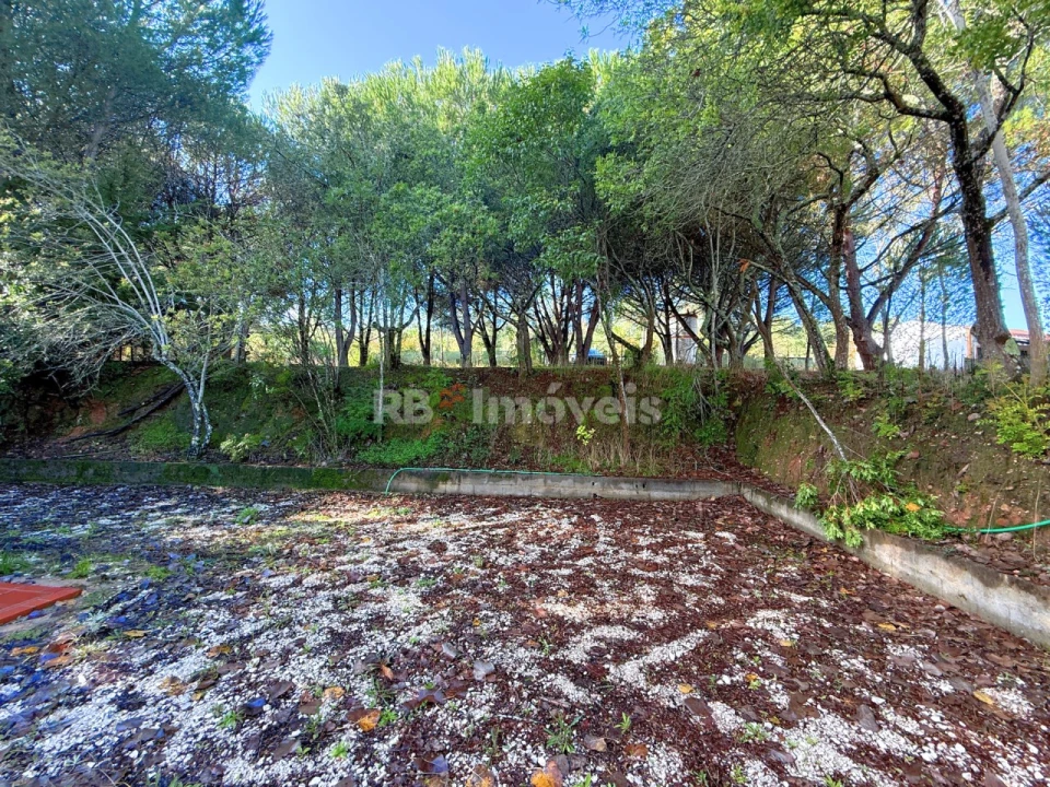 Quinta T2 para Venda em São Pedro de Tomar Foto 47