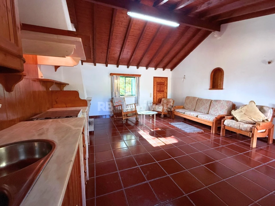 Quinta T2 para Venda em São Pedro de Tomar Foto 14