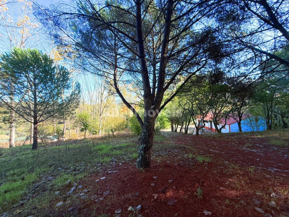 Quinta T2 para Venda em São Pedro de Tomar Foto 48