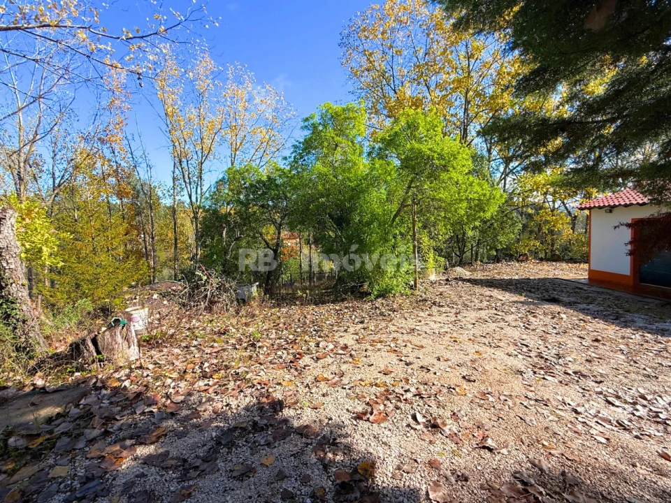 Quinta T2 para Venda em São Pedro de Tomar Foto 50