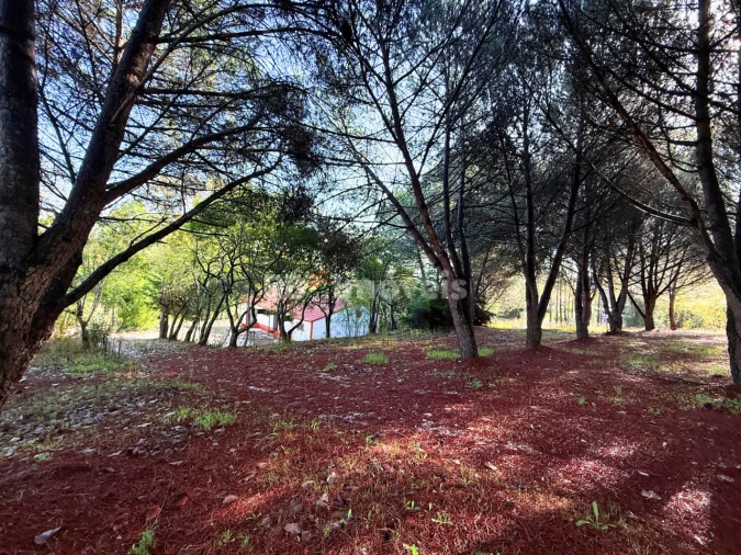 Quinta T2 para Venda em São Pedro de Tomar Foto 43