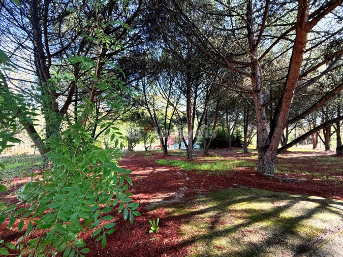 Quinta T2 para Venda em São Pedro de Tomar Foto 41