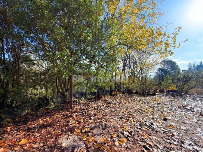Quinta T2 para Venda em São Pedro de Tomar Foto 45