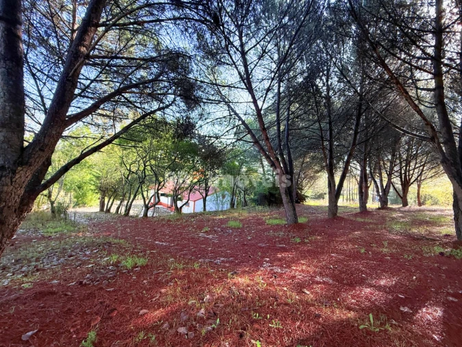 Quinta T2 para Venda em São Pedro de Tomar Foto 49