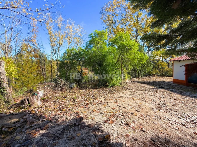 Quinta T2 para Venda em São Pedro de Tomar Foto 50