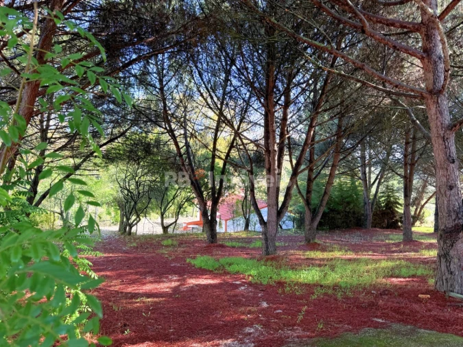 Quinta T2 para Venda em São Pedro de Tomar Foto 29