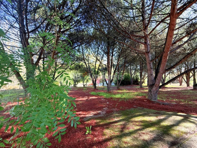 Quinta T2 para Venda em São Pedro de Tomar Foto 12
