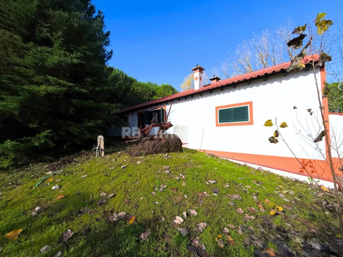 Quinta T2 para Venda em São Pedro de Tomar Foto 30