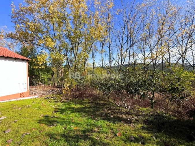 Quinta T2 para Venda em São Pedro de Tomar Foto 51