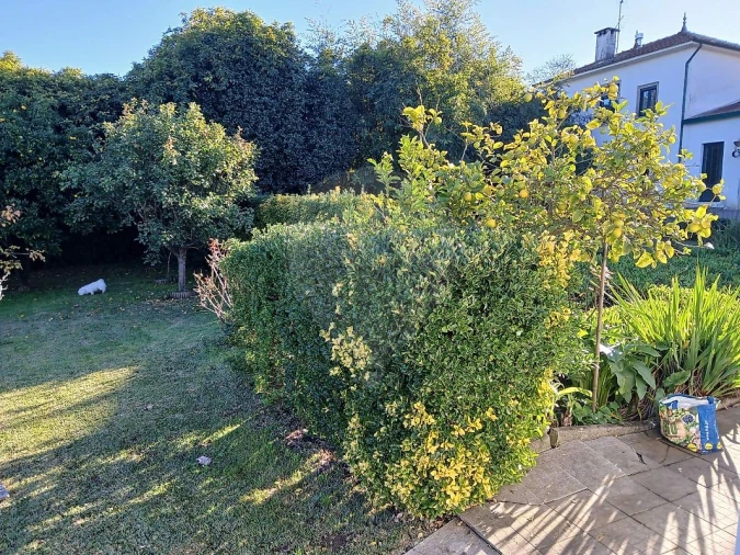 Quinta T4 para Venda em Pedroso e Seixezelo Foto 49