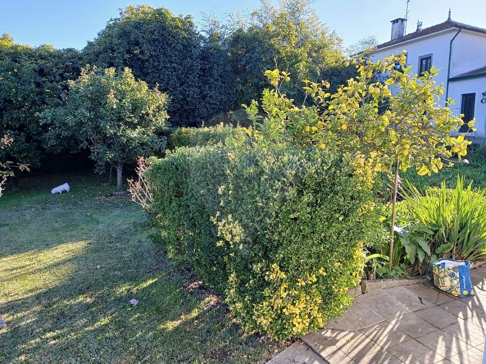 Quinta T4 para Venda em Pedroso e Seixezelo Foto 49