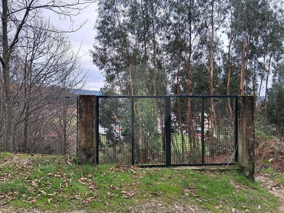 Terreno para Venda em Cesar Foto 1