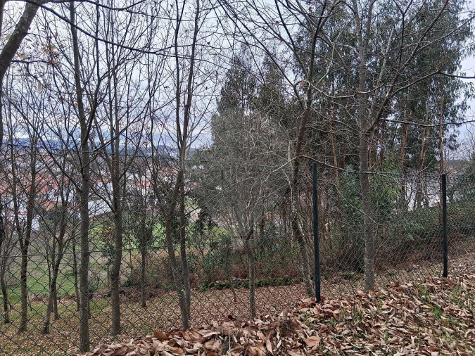 Terreno para Venda em Cesar Foto 7