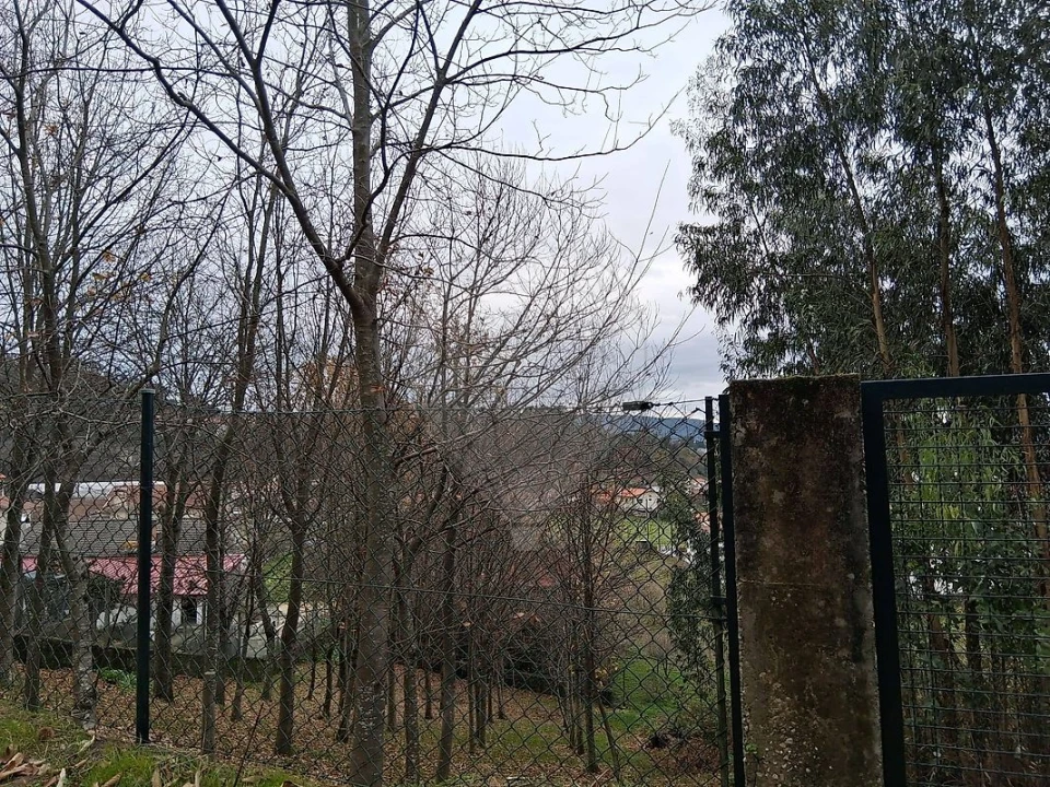 Terreno para Venda em Cesar Foto 8