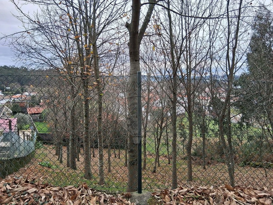 Terreno para Venda em Cesar Foto 6