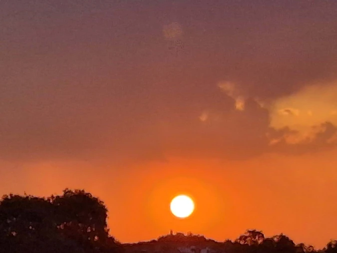 Terreno Agricola ou Rústico para Venda em Borba (Matriz) Foto 10
